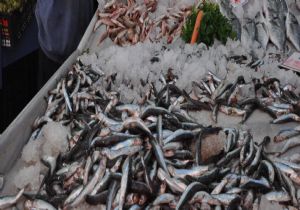 Erzurum’da balık tezgahları bereketlendi