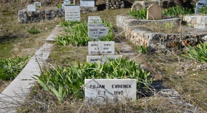 37 yıldır dinmeyen acı