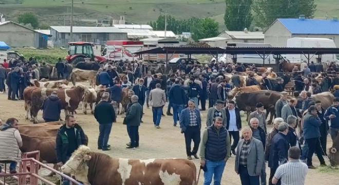 Aşkale’de Kurbanlık satışları başladı