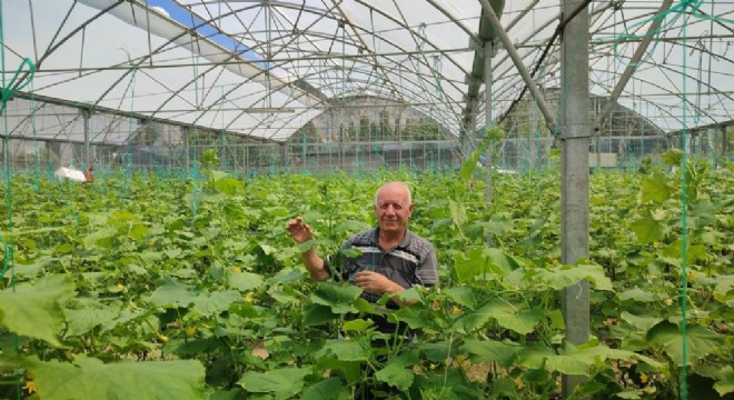 Doğu’nun en hacimli serası Uzundere’de