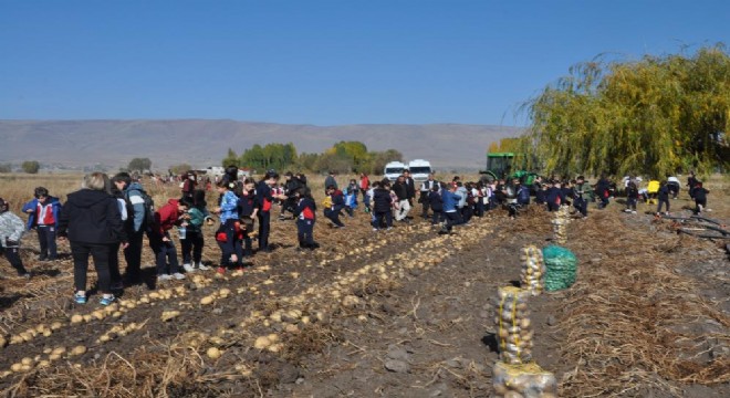 ETB'den öğrencilerle hasat mesaisi