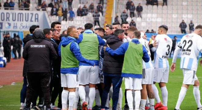 Erzurumspor galibiyet serisini sürdürdü