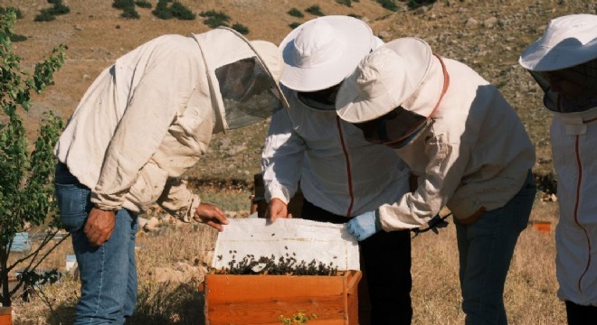 KUDAKA’dan Arıcılığa teknoloji desteği