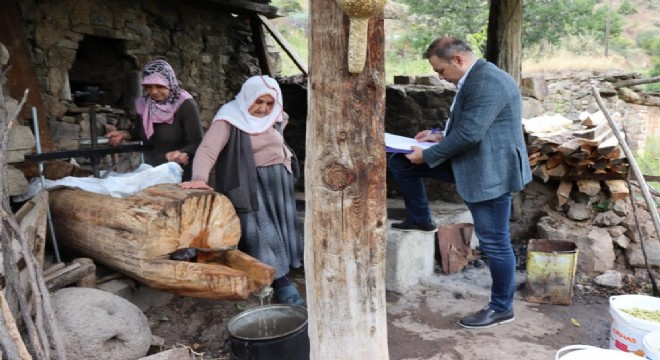 Karnavas pekmezine bilimsel yaklaşım