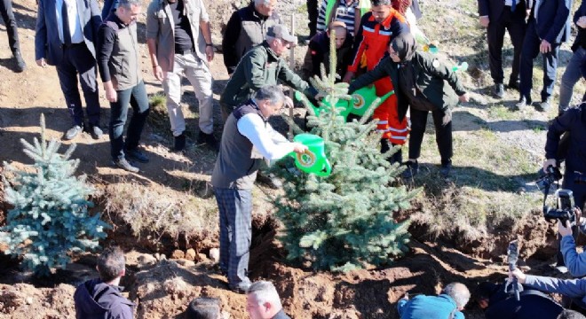 OBM’den sonbahar ağaçlandırma seferberliği