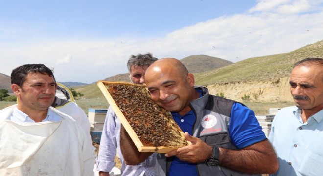 Oltu'da ana arı üretim kursu açıldı