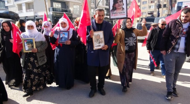 Vanlı ailelerin evlat nöbeti 70'inci haftasına girdi