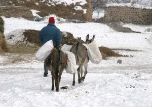 Soğuk rekoru Erzurum’daydı