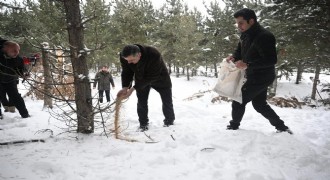 Çiftçi’den yaban yaşamına destek