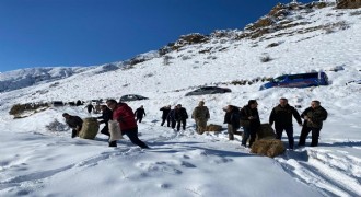 Yaban hayatına destek için seferber oldular